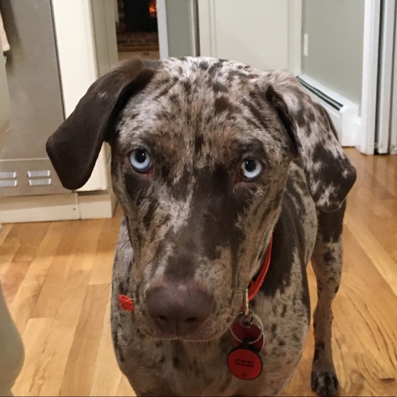 Meet your Posher, Sean - Picture 1 of 1